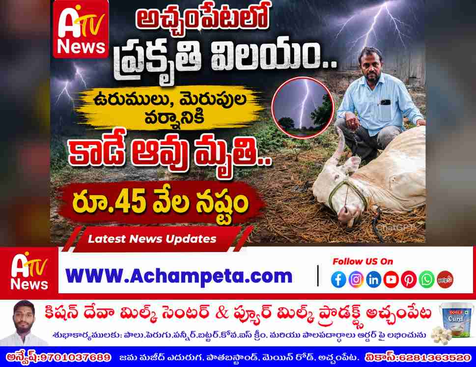 అచ్చంపేటలో ప్రకృతి వైపరీత్యం: ఉరుములు, మెరుపుల వర్షానికి ఆవు మృతి.. కన్నీరుమున్నీరవుతున్న రైత�