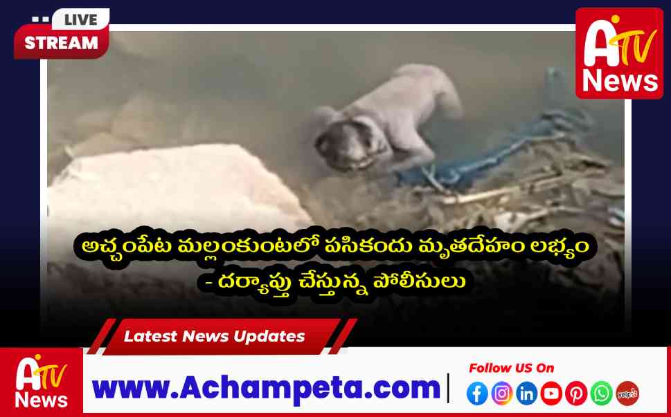 అచ్చంపేట మల్లంకుంటలో పసికందు మృతదేహం లభ్యం - దర్యాప్తు చేస్తున్న పోలీసులు
