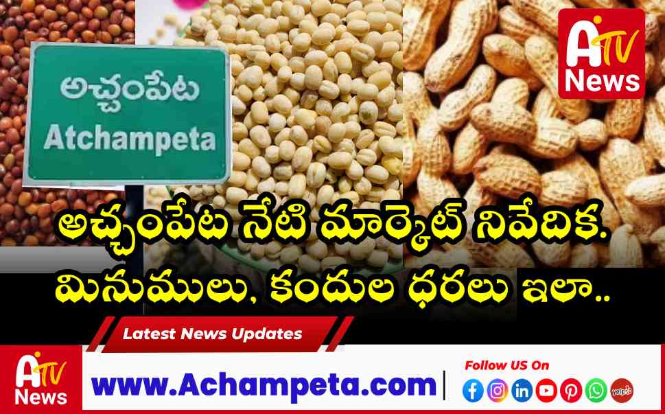 అచ్చంపేట మార్కెట్ అప్డేట్: వేరుశనగ క్వింటాల్ రూ. 8,629.