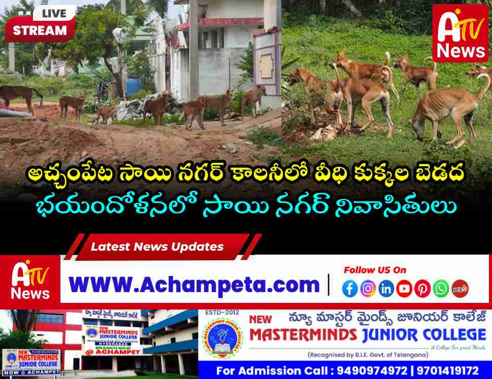సాయి నగర్ కాలనీలో వీధి కుక్కల బెడద.. చర్యలు తీసుకోవాలని మున్సిపల్ అధికారులకు విజ్ఞప్తి