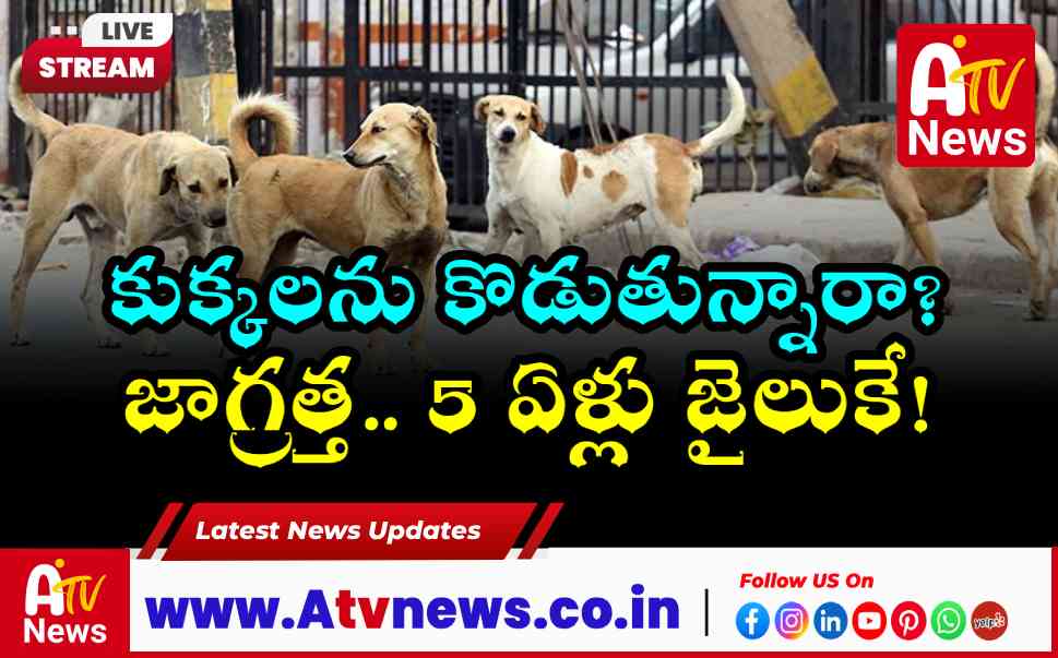 వీధి కుక్కలను చంపితే జైలు శిక్షే.. పశుసంవర్ధక శాఖ చట్టపరమైన హెచ్చరిక!