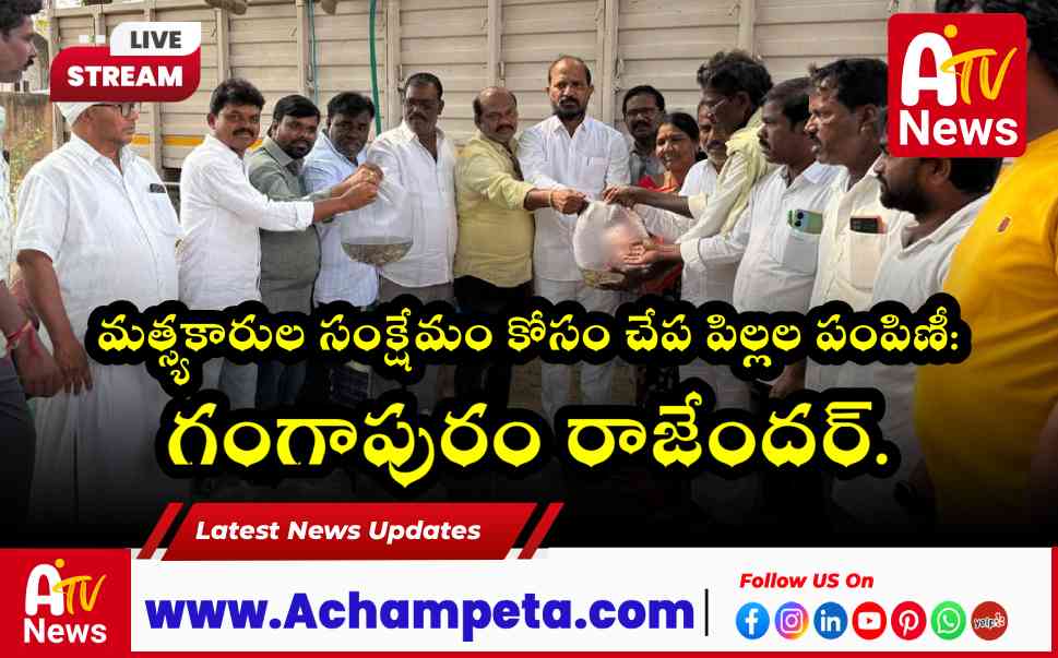 మత్స్యకారుల సంక్షేమం కోసం చేప పిల్లల పంపిణీ: గంగాపురం రాజేందర్.