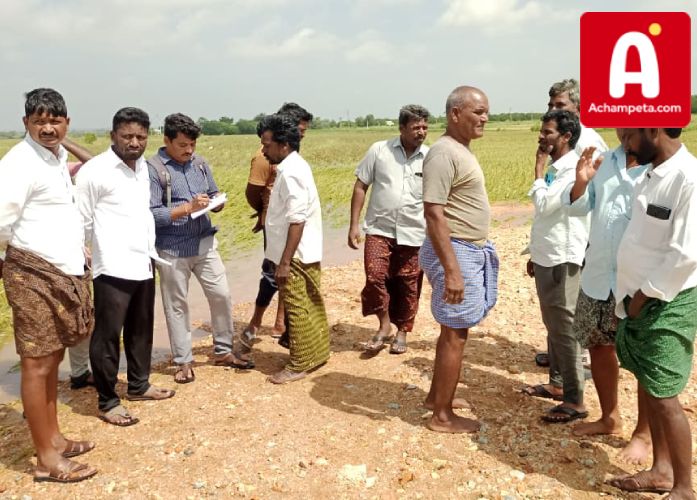 మొంథా తుఫాన్తో పంట నష్టం: వివరాలు సేకరిస్తున్న వెల్టూర్ ఏఐవో