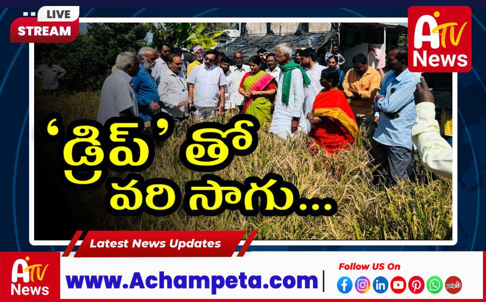 వరి సాగులో ‘డ్రిప్’ విధానం అద్భుతం.. తెలంగాణలో కేరళ తరహా వ్యవసాయ పాలసీలు: కోదండరెడ్డి