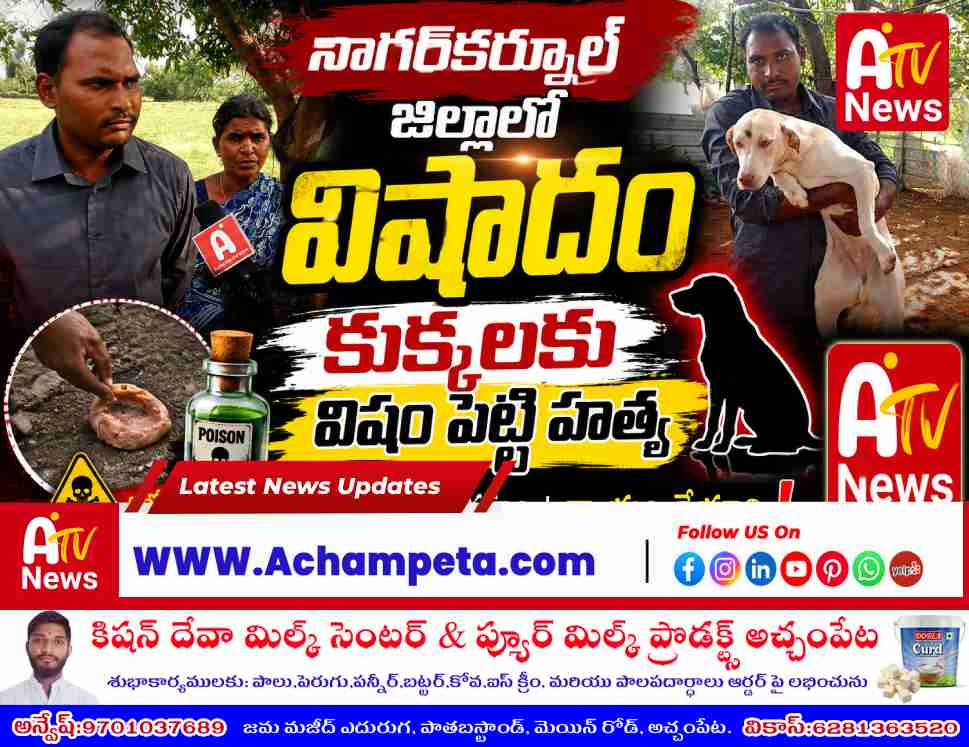 నాగర్‌కర్నూల్ జిల్లాలో విషాదం: కుక్కలకు విషం పెట్టి హత్య